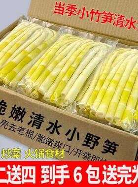 野生竹笋江西高山笋尖新鲜春笋清水笋子涮火锅食材批发嫩笋泡椒