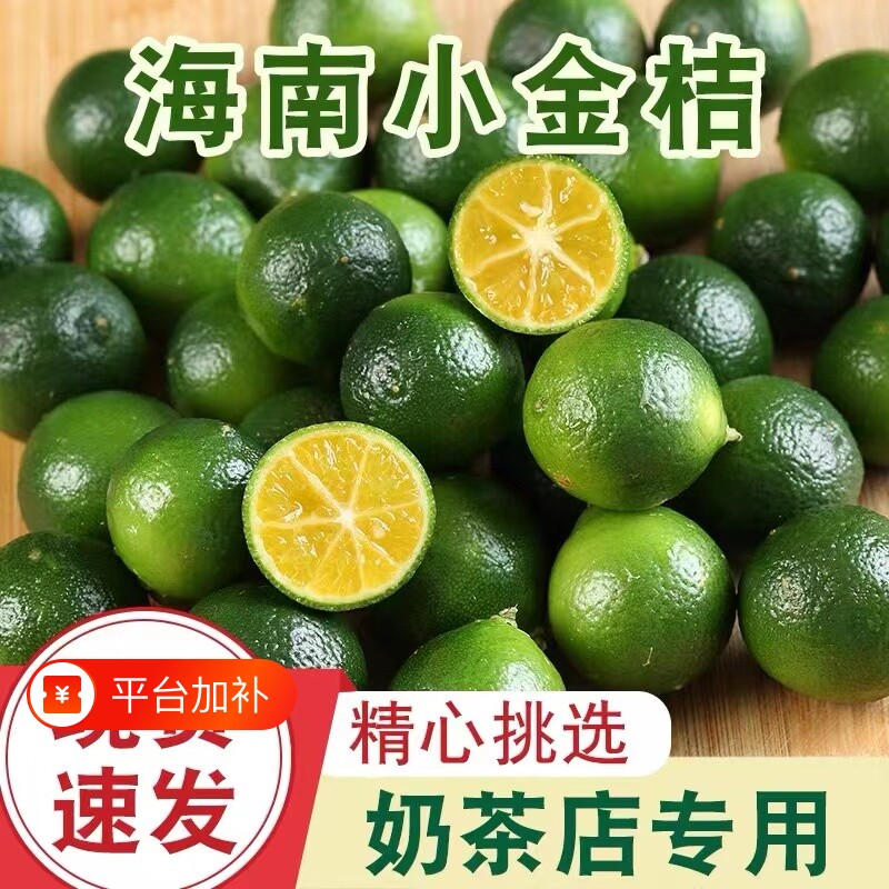 海南青金桔新鲜果子小柠檬桔子大中小5斤饮品奶茶店原料整箱包邮