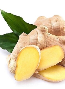 云南特产新鲜老姜小黄姜红河高山沙姜土姜现挖蔬菜精选食用生姜