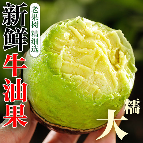 秘鲁哈斯牛油果新鲜进口水果非即食当季整箱包邮一级鳄梨辅食香蕉
