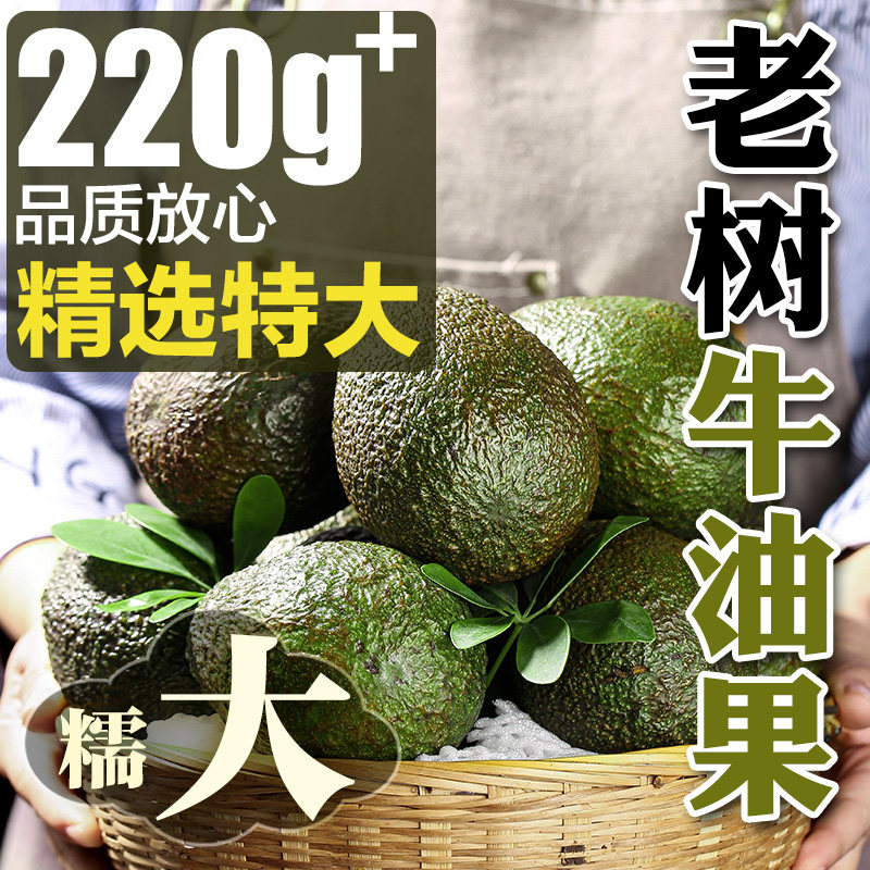 牛油果大果当季水果新鲜果哈斯进口鳄梨秘鲁应季孕妇摘现整箱包邮
