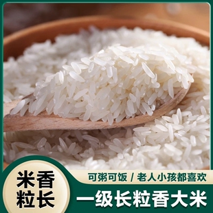 2025年新米大米超长粒香米猫牙丝苗米原生态农家米煲仔饭真空炒饭
