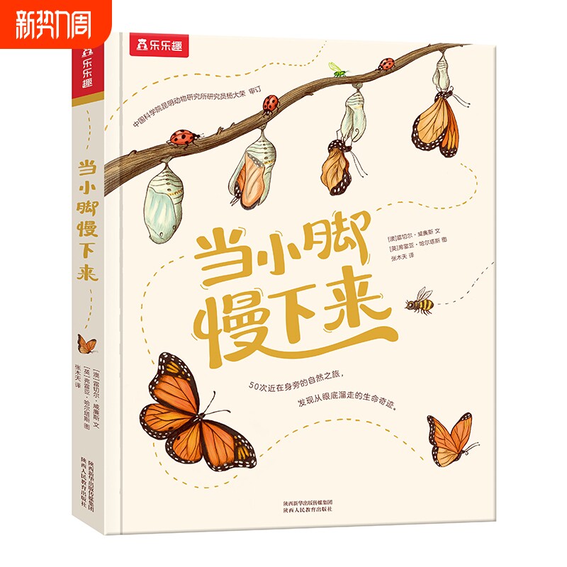 当小脚慢下来绘本儿童读物3-6岁以上大自然百科科普硬壳精装注意力