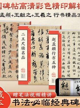 毛笔书法临摹字帖赵孟頫行书兰亭序怀仁集王羲之圣教序墨迹本米芾蜀素帖苏轼赤壁赋尺牍洛神赋千字文原帖碑帖入门视频教程精讲技法