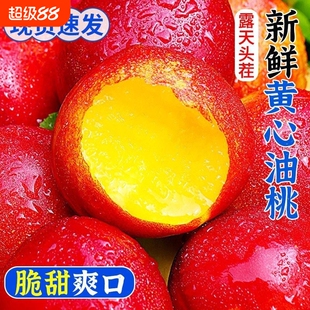 【平晏果园】黄心油桃新鲜孕妇水果当季整箱水密黄肉脆油桃子批发