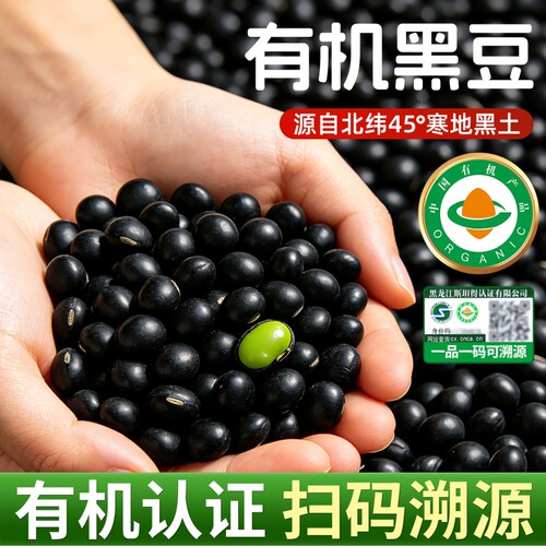 人工精细挑拣大粒东北有机黑豆