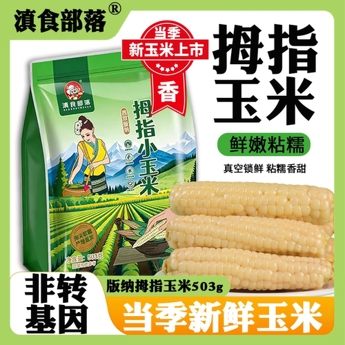 云南西双版纳拇指玉米早餐代餐新鲜手指小玉米香甜真空软糯糯香