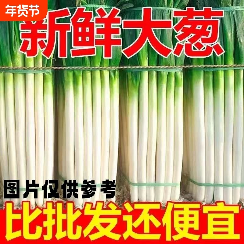 山东大葱新鲜铁杆小葱香葱毛葱新鲜长白大葱去半叶带皮包邮带生姜,水产肉类/新鲜蔬果/熟食,葱类,淘宝优惠券,粉丝福利购,淘宝优惠卷
