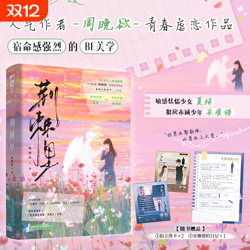 荆棘里 人气作者周晚欲 青春虐恋意难平作品 敏感怯懦少女夏绿VS狠戾赤诚少年宋璀错 相互救赎的青春虐恋小说书籍