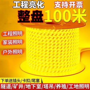 整卷100米超亮LED灯带家装户外工程亮化吊顶户外防雨暖光白光装饰