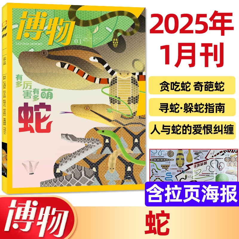 博物杂志2025年1月主题：蛇 有多厉害 有多萌 有毒蛇 无毒蛇 贪吃蛇 奇葩蛇 中国国家地理青少年版自然科学探索动植物科普百科