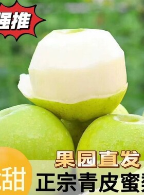 安徽正宗青皮翠冠梨子非皇冠苹果梨纯甜应季新鲜水果包邮