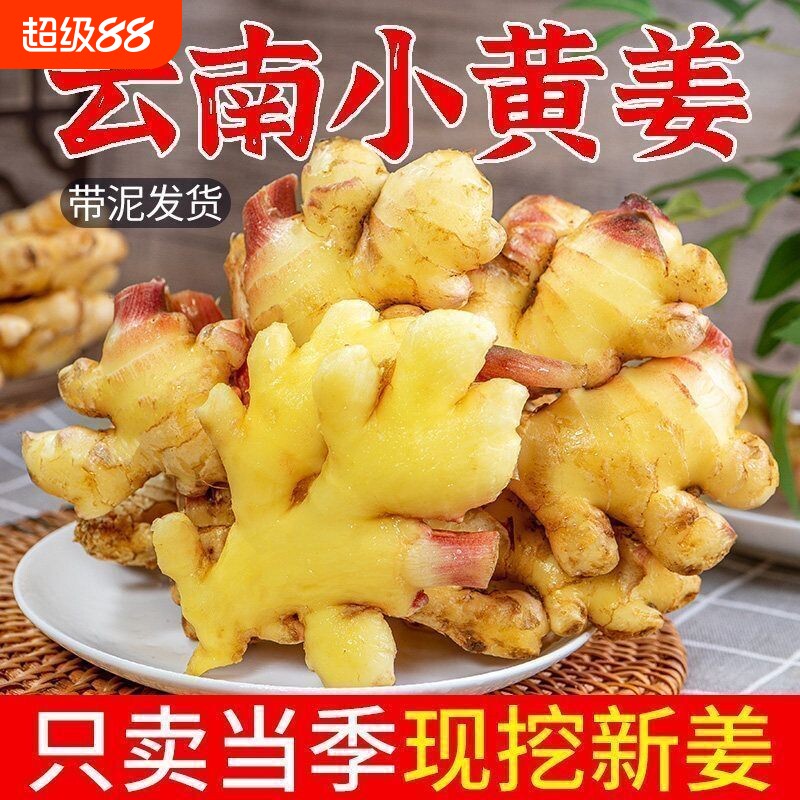 生姜老姜云南小黄姜3斤5斤9斤新鲜现挖高山沙姜土姜种子蔬菜食用