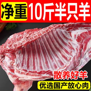 羊肉新鲜半只羊乳羔羊肋排后腿肉火锅食材礼包滋补美味商用批发10