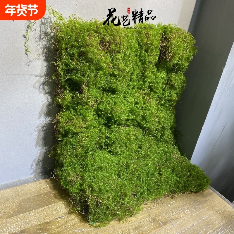 青苔仿真永生苔藓绿植装饰品植物墙花盆装饰假山造景diy绿植插花,鲜花速递/花卉仿真/绿植园艺,仿真绿植,淘宝优惠券,粉丝福利购,淘宝优惠卷