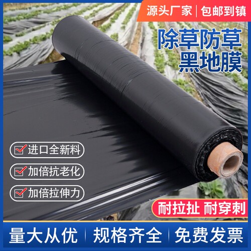 农用除草保温保湿黑地膜加厚种植