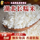 又香又软糯新鲜长粒糯米新米5斤酿酒包粽子糍粑纯正江米汤圆酒酿