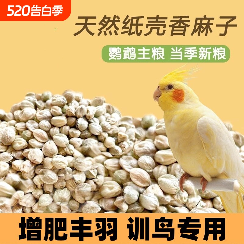 麻子鸟粮 纸壳麻子大粒牡丹鹦鹉粮奖励零食油纸皮火麻籽鸽粮鸟食