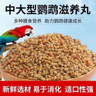 灰鹦鹉饲料金太阳虎皮玄凤小太阳和尚金刚鸟粮滋养丸粮食食物大型