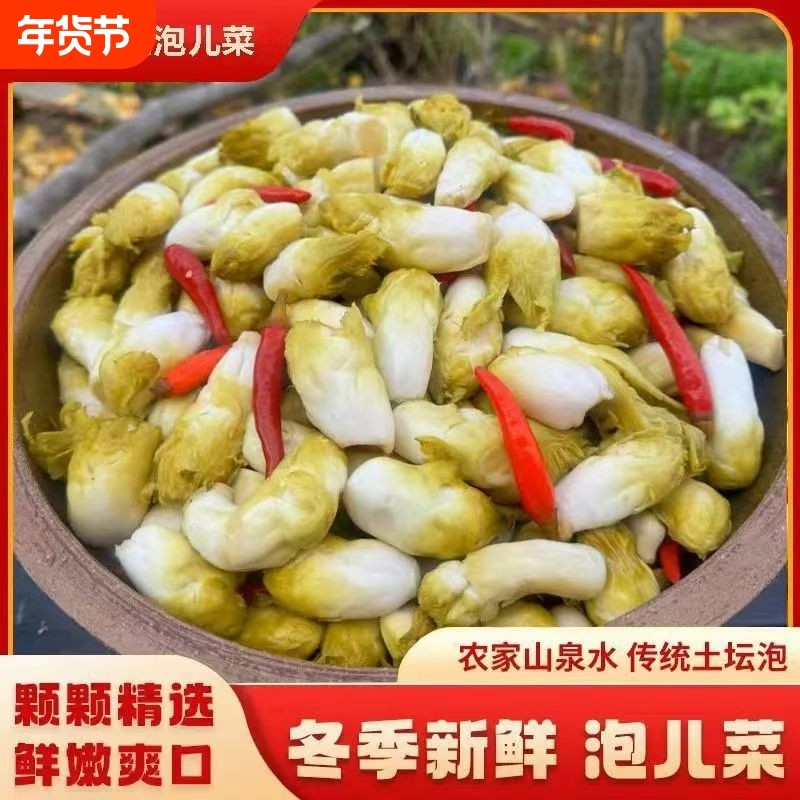 四川老坛母水泡儿菜农家手工自制泡酸萝卜娃娃菜豆角大蒜什锦泡菜