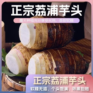 荔浦芋广西荔浦芋头头正宗特产新鲜现挖大芋头软糯香甜包粉包糯