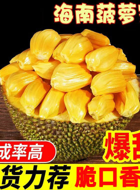 海南三亚干苞黄肉菠萝蜜
