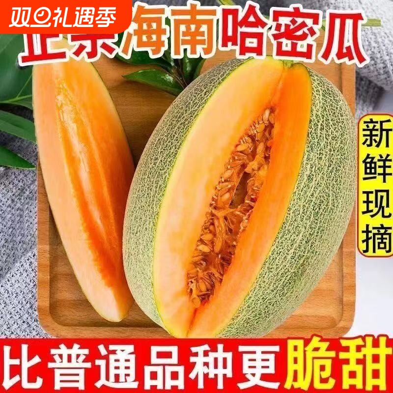 海南哈密瓜 晓蜜25号 当季鲜货皮薄肉厚香甜爽口产地直采新鲜到家