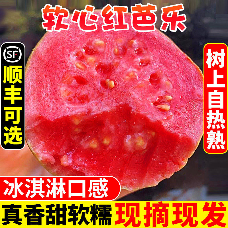 【顺丰京东送上门】福建漳州红心芭乐软糯鸡屎果胭脂红巴乐番石榴,水产肉类/新鲜蔬果/熟食,番石榴/芭乐,淘宝优惠券,粉丝福利购,淘宝优惠卷