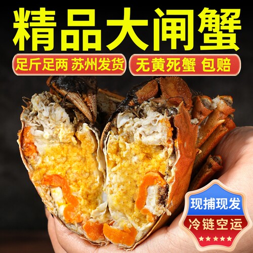 精品大闸蟹鲜活特大螃蟹全母活蟹现货河蟹海鲜水产礼盒装苏州发货