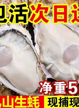 鲜活大生蚝/海蛎子