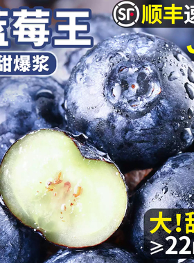 蓝莓鲜果新鲜水果云南l25蓝莓高山花香怡颗甜莓大果产地直发整箱