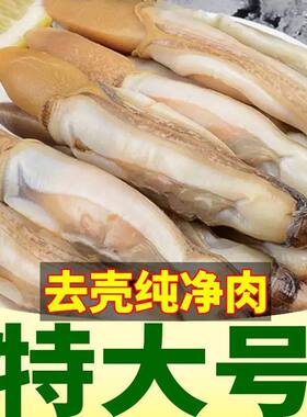 蛏王肉新鲜蛏子鲜活竹节蛏冷冻捞汁小海鲜酒店餐饮商用竹蛏肉水产