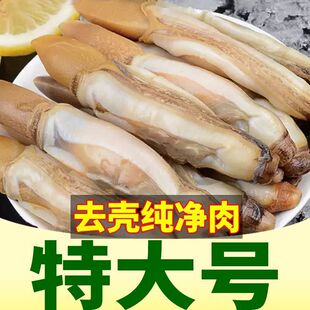 蛏王肉新鲜现剥蛏子鲜活竹节蛏冷冻捞汁小海鲜酒店餐饮商用竹蛏肉
