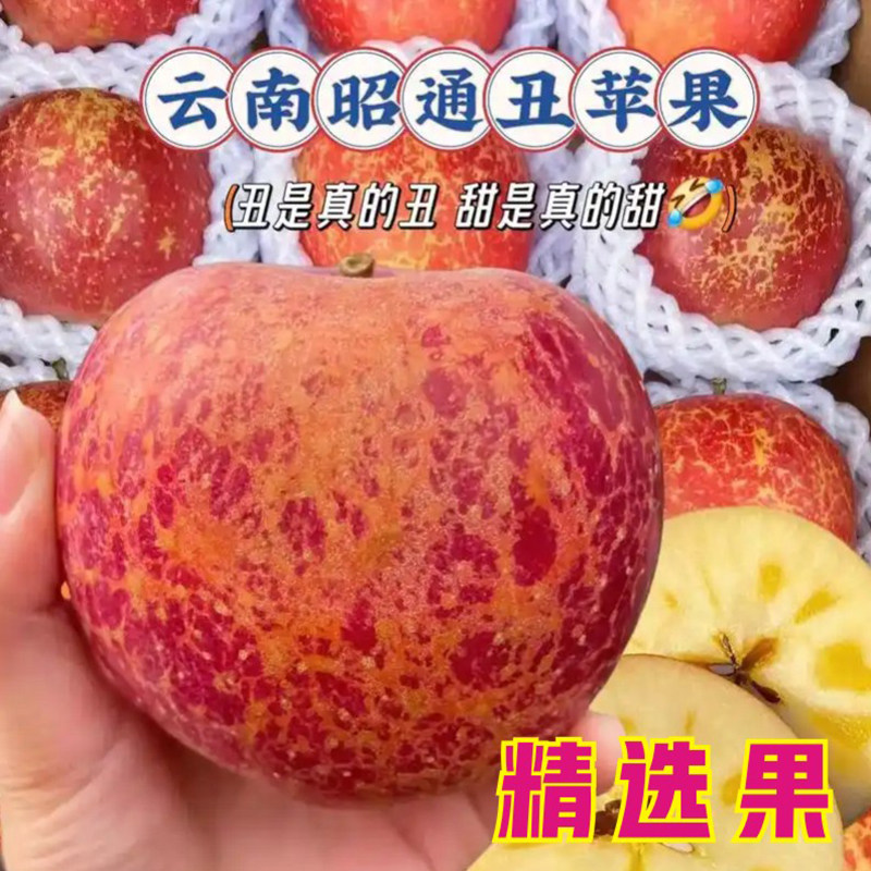 精选云南昭通丑苹果冰糖心新鲜水果产地直发,水产肉类/新鲜蔬果/熟食,苹果,淘宝优惠券,粉丝福利购,淘宝优惠卷