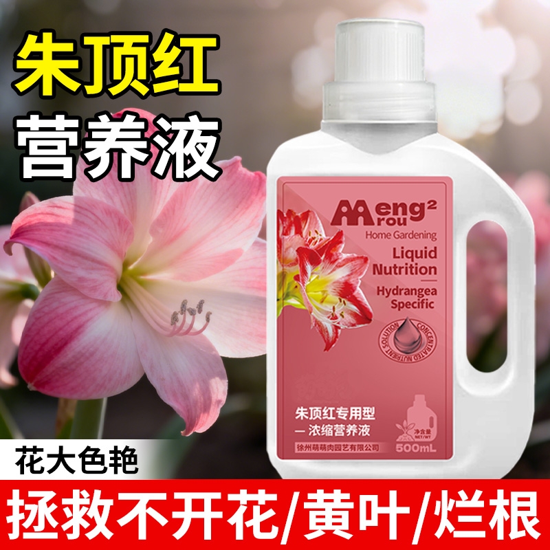 朱顶红营养液专用肥料室内盆栽植物富贵花促开花爆盆开花肥氮磷钾