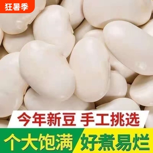 大白芸豆新鲜云南特产农家大白云豆大白豆四季豆干货豆白五谷新货
