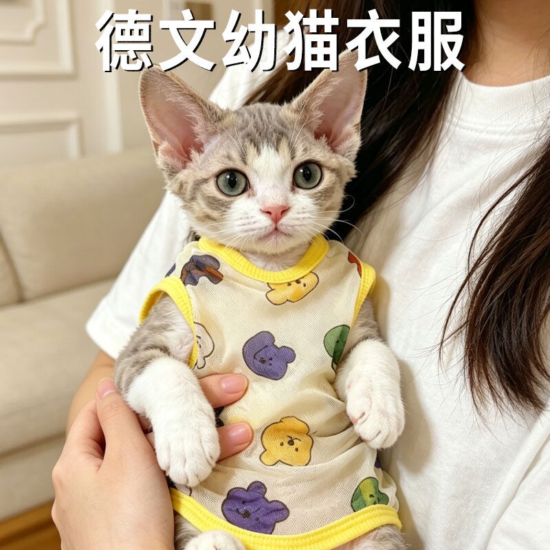 德文幼猫衣服夏季专用无毛猫薄款透气斯芬克斯猫咪背心宠物服饰