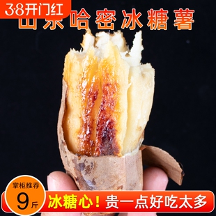 山东哈密冰糖薯新鲜白心蜜薯糖心红薯农家自种沙地番薯地瓜农场