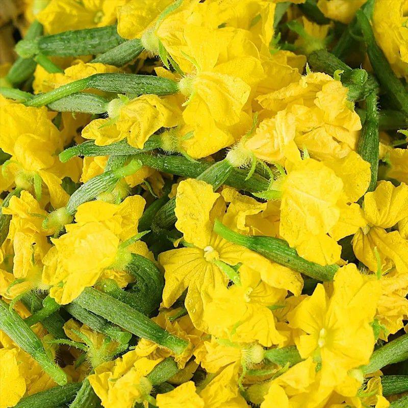 山东特产新鲜小黄瓜花3斤当季鲜嫩迷你青瓜苗顶花西餐厅特产蔬菜,水产肉类/新鲜蔬果/熟食,黄瓜,淘宝优惠券,粉丝福利购,淘宝优惠卷