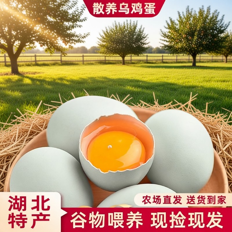 正宗土鸡蛋农家散养新鲜柴鸡蛋草鸡蛋月子蛋宝宝辅食绿壳鸡蛋农场