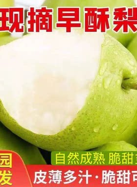 陕西早酥梨新鲜水果5斤梨子当季现摘青梨水晶青酥梨脆甜雪梨整箱