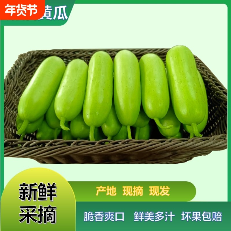 露天种植奶油黄瓜绿色新鲜水果黄瓜小黄瓜青瓜包邮一整箱脆甜现摘,水产肉类/新鲜蔬果/熟食,黄瓜,淘宝优惠券,粉丝福利购,淘宝优惠卷