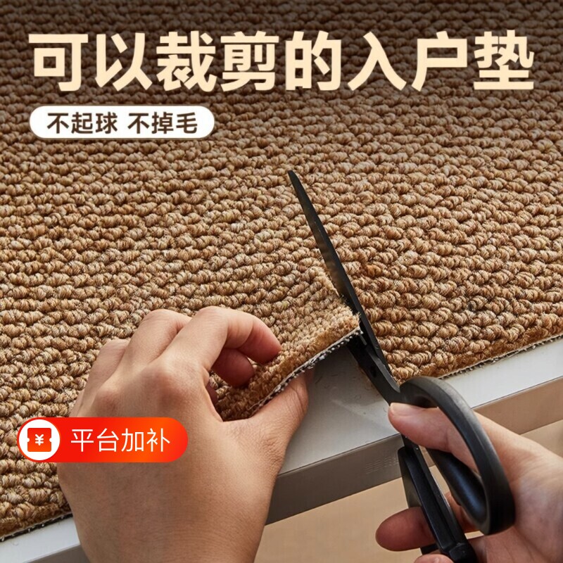 入户门地毯地垫仿剑麻客厅门垫进门大门口脚垫可裁剪防滑卧室厨房