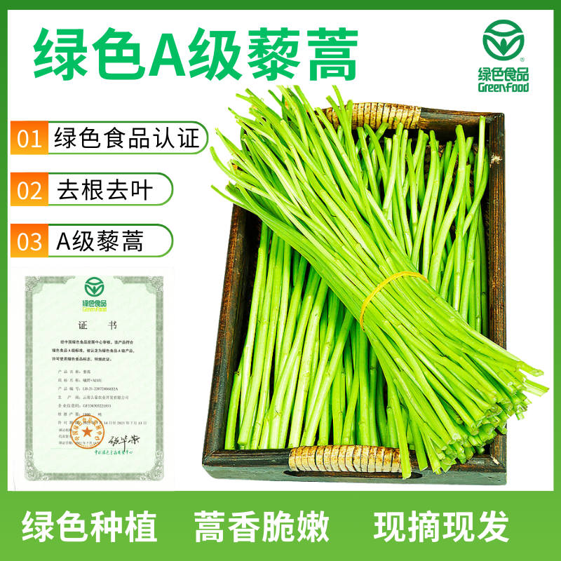 篱蒿去叶茼蒿当季芦蒿新鲜黎蒿绿色蔬菜野菜藜蒿鲜嫩泥蒿,水产肉类/新鲜蔬果/熟食,叶菜类,淘宝优惠券,粉丝福利购,淘宝优惠卷