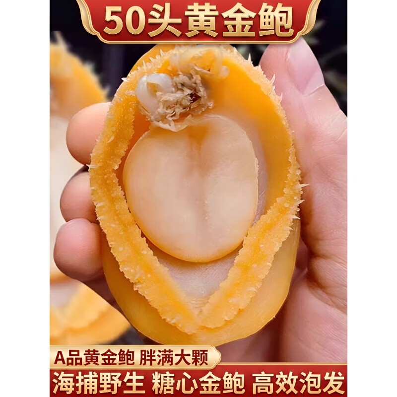 福建鲍精品大鲍鱼干|232人收藏图片