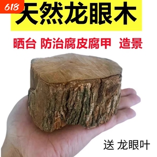 养乌龟专用缸龙眼木晒台爬坡躲避窝造景摆件用品龙眼叶子养龟大型