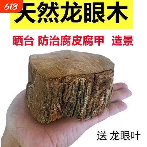 养乌龟专用缸龙眼木晒台爬坡躲避窝造景摆件用品龙眼叶子养龟大型