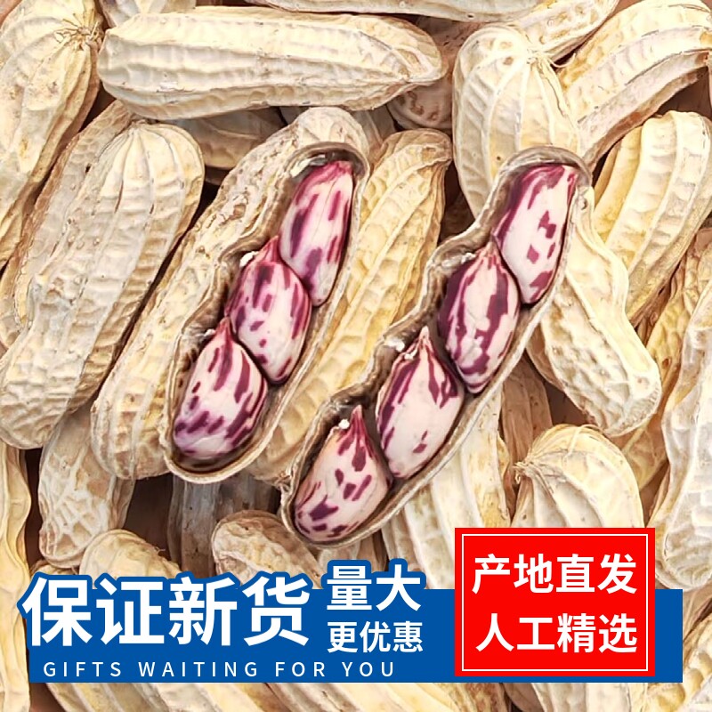 七彩花生米云南特产带壳晒干2026花生种粒熟咸干五彩水煮新鲜原味