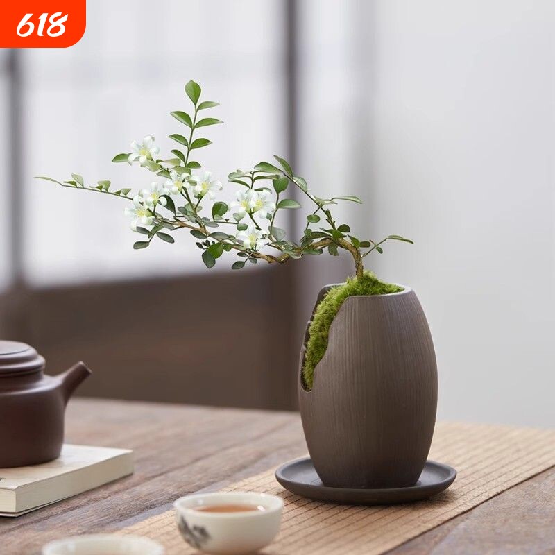 红花六月雪盆景悬崖老桩花卉室内好养小盆栽绿植造型卧室阳台茶几