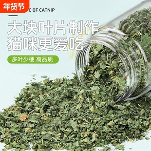 猫薄荷粉末高纯度猫草化毛球可食用猫咪零食喷雾猫用品喂食母猫